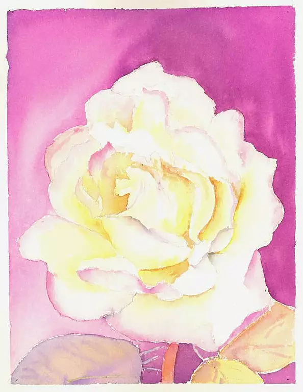 Zdzisław Rutkowski - Róża na amarantowym tle