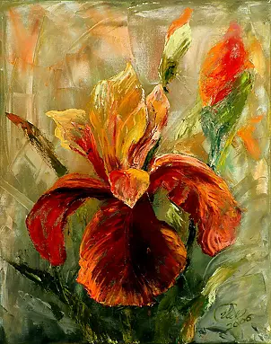 Urszula Nieborak - carmine iris