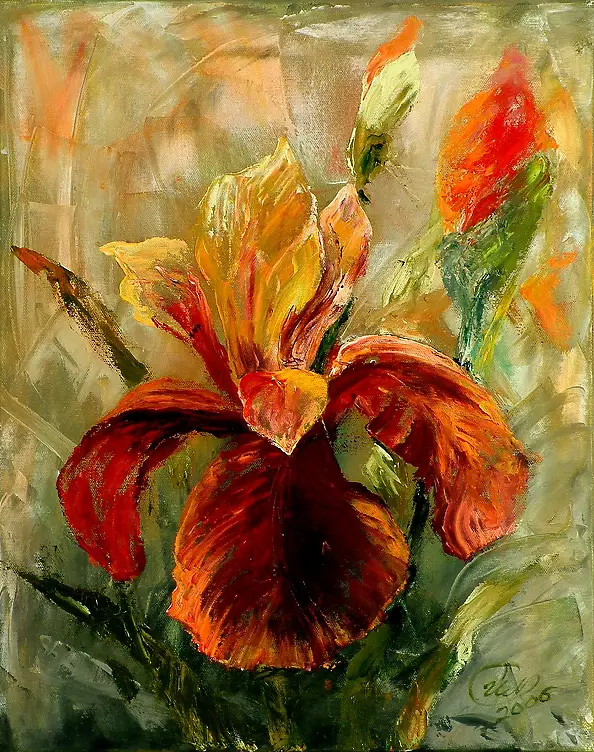 Urszula Nieborak - carmine iris