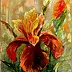 Urszula Nieborak - carmine iris
