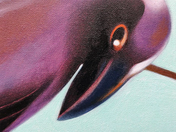 federico cortese - A crow outside the window