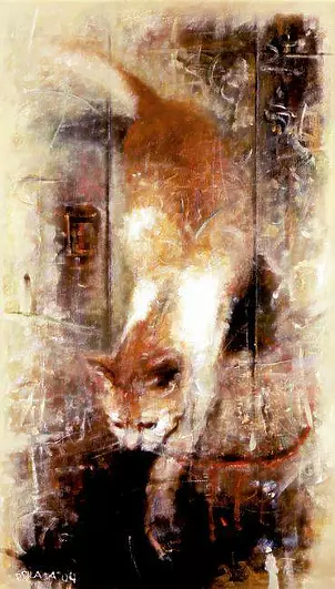 Piotr Pilawa - cat descending