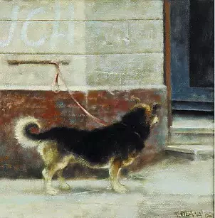 Piotr Pilawa - Dog