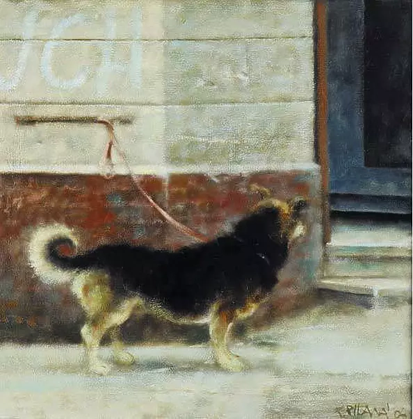 Piotr Pilawa - Dog