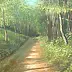 Izabela Krzyszkowska - Forest Road