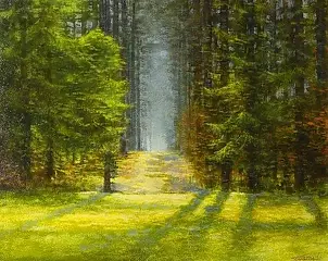 Tadeusz Gazda - Las Krogulec