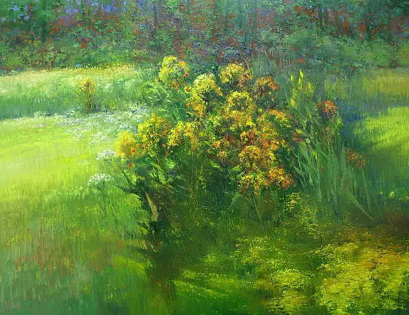 Henryk Radziszewski - shining garden