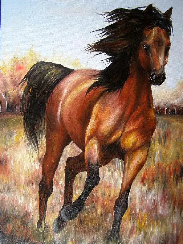 Ewelina Ozóg - Koń