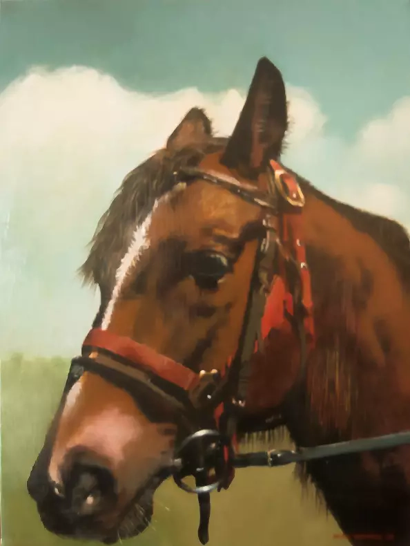 Jacek Łoziński - Horse