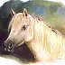 Oria Strobino - cavallo