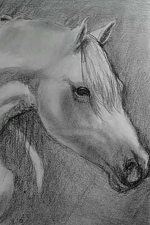   - Horse painted pencil II