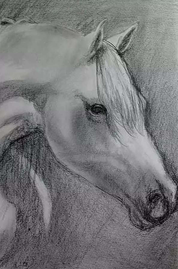 Oria Strobino - Horse painted pencil II