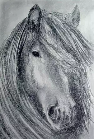   - Horse painted pencil I