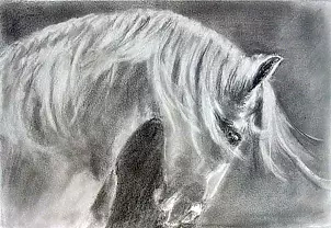   - Horse painted pencil III