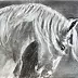 Oria Strobino - Koń namalowany ołówkiem III