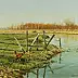 Wojciech Górecki - Paysage avec une vieille clôture