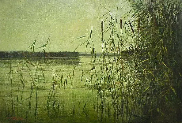 Tadeusz Gazda - Landscape with reeds