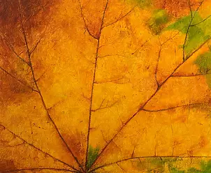 Tadeusz Gazda - Leaf