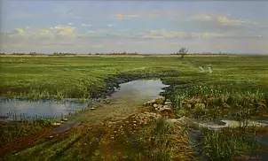 Wojciech Górecki - Biebrzański stream