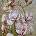Maria Gruza - Magnolie