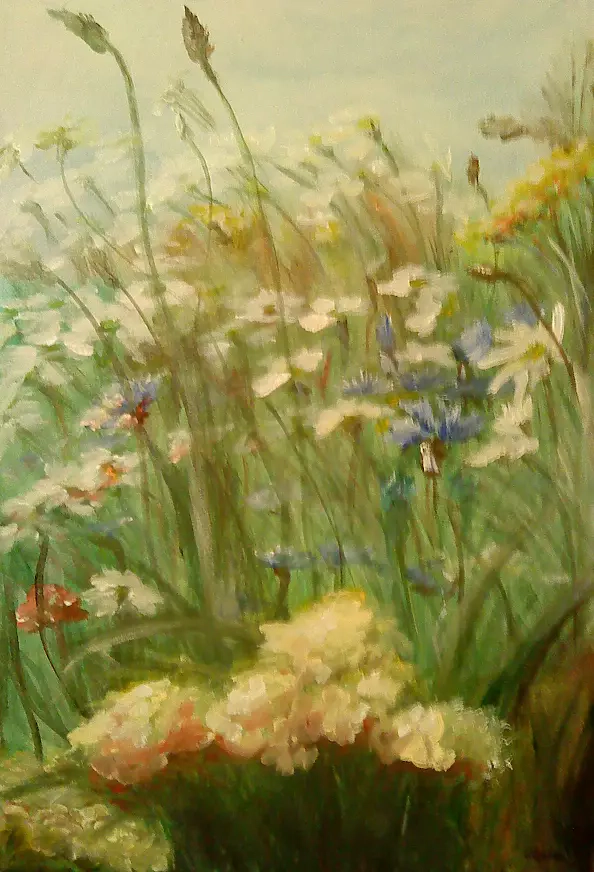 Małgorzata Lesisz - Meadow