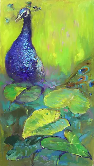   - Peacock in the garden