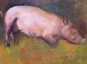  - Pig