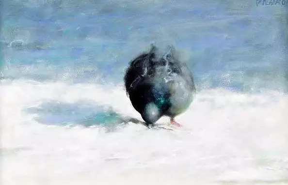 Piotr Pilawa - Dove in the snow