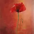 Ewa Gawlik - poppy seed