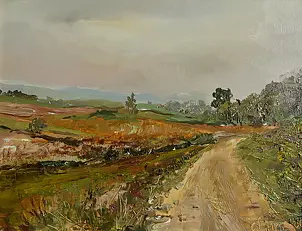 Celina Litke - The road through field