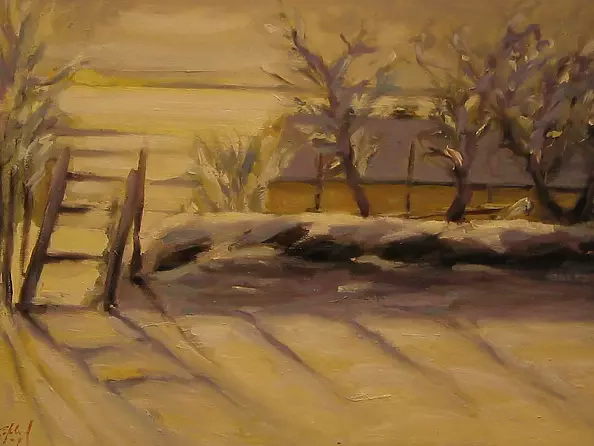 Francesco Sopelsa - snowy landscape