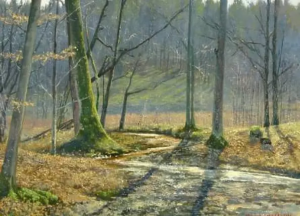 Wojciech Górecki - Spring brook in Czapielsk