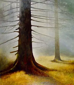 Tadeusz Gazda - Spruce