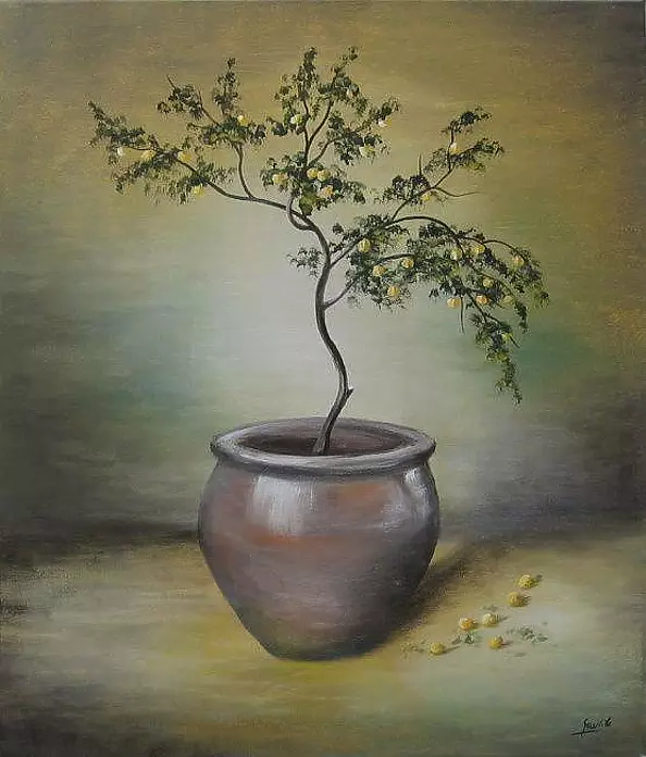 Ewa Gawlik - Tree in pot