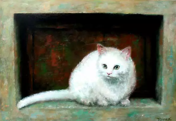 Piotr Pilawa - White cat