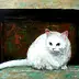Piotr Pilawa - gatto bianco