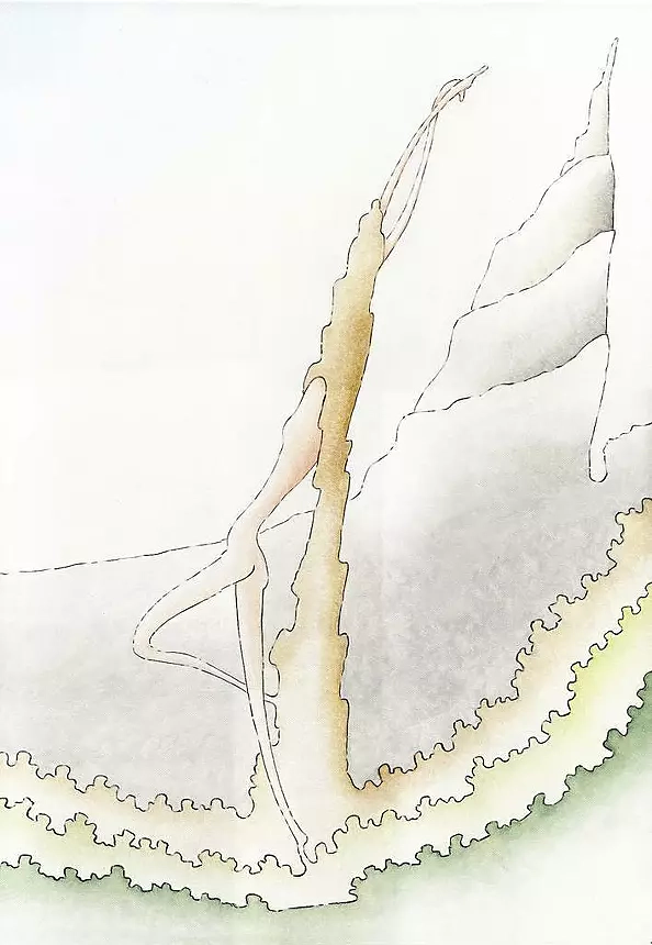 Giancarlo Scarsi - frustrated ballerina