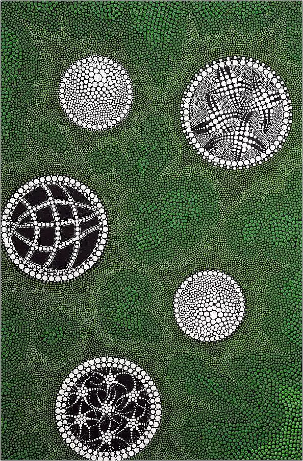 Mariusz Czajkowski - Aboriginal Inspiration