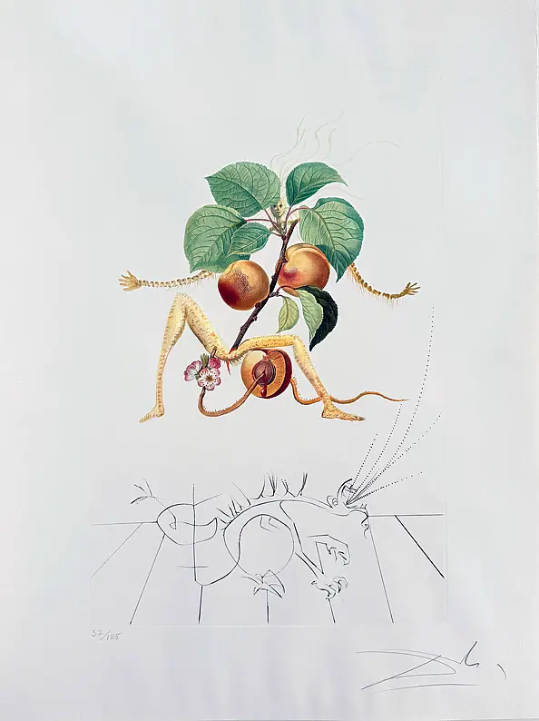Salvador Dali - Abricot chevalier (Apricot Knight), litografia rok 1969