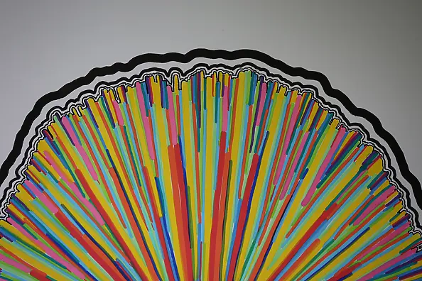 Mariusz Czajkowski - Abstract #202