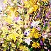 Mario Zampedroni - Abstract floral 2008