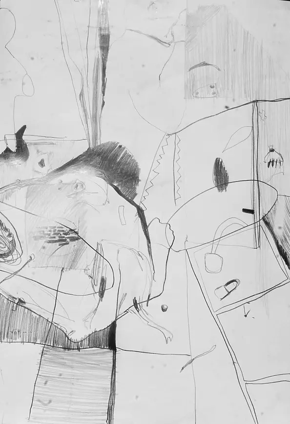 Dominika Fedko-Wójs - Pencil abstraction