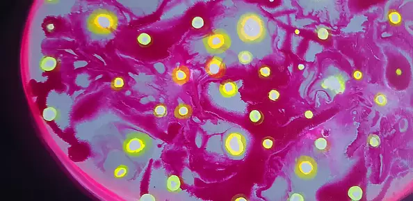 Marlena Majchrzak - Abstrakcja psychodeliczna 1