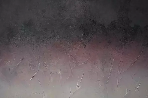 Kamila Ossowska - Afonia of the forest