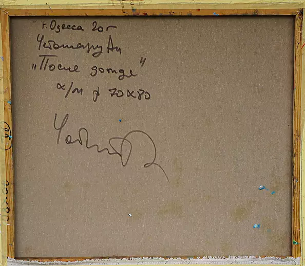 Andrey Chebotaru - After the rain