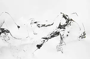 Anna Nesteruk - act 27