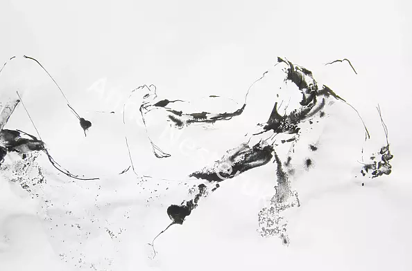 Anna Nesteruk - Akt 27