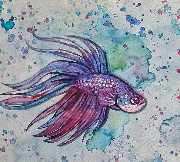 Danuta Kolis - Watercolor - Siamese fighting fish