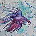 Danuta Kolis - Watercolor - Siamese fighting fish