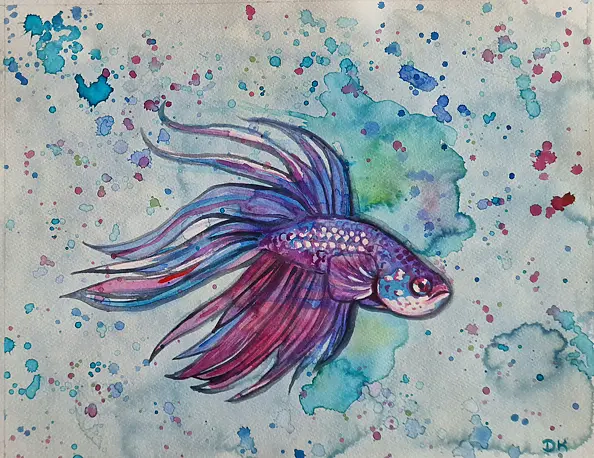 Danuta Kolis - Watercolor - Siamese fighting fish